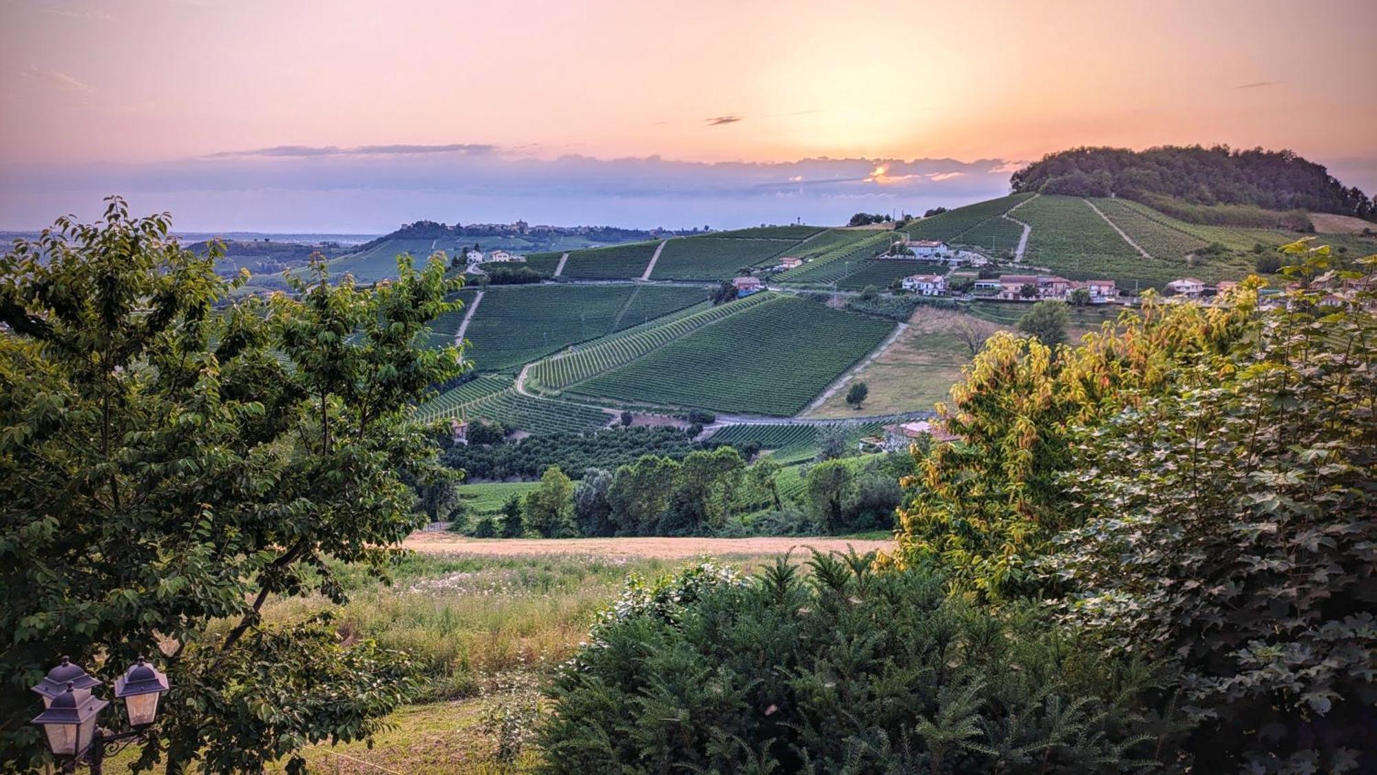 Hotel Charming Barolo Wine Loft Monforte dʼAlba Exteriér fotografie